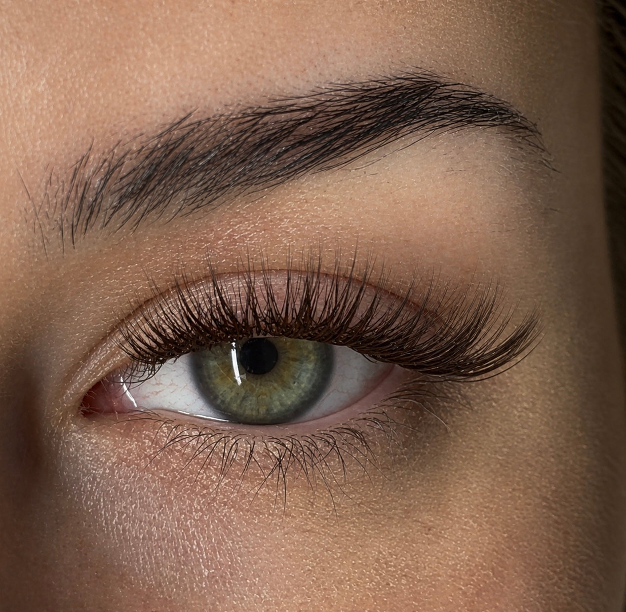 Lash Starter Kit Baby Brown