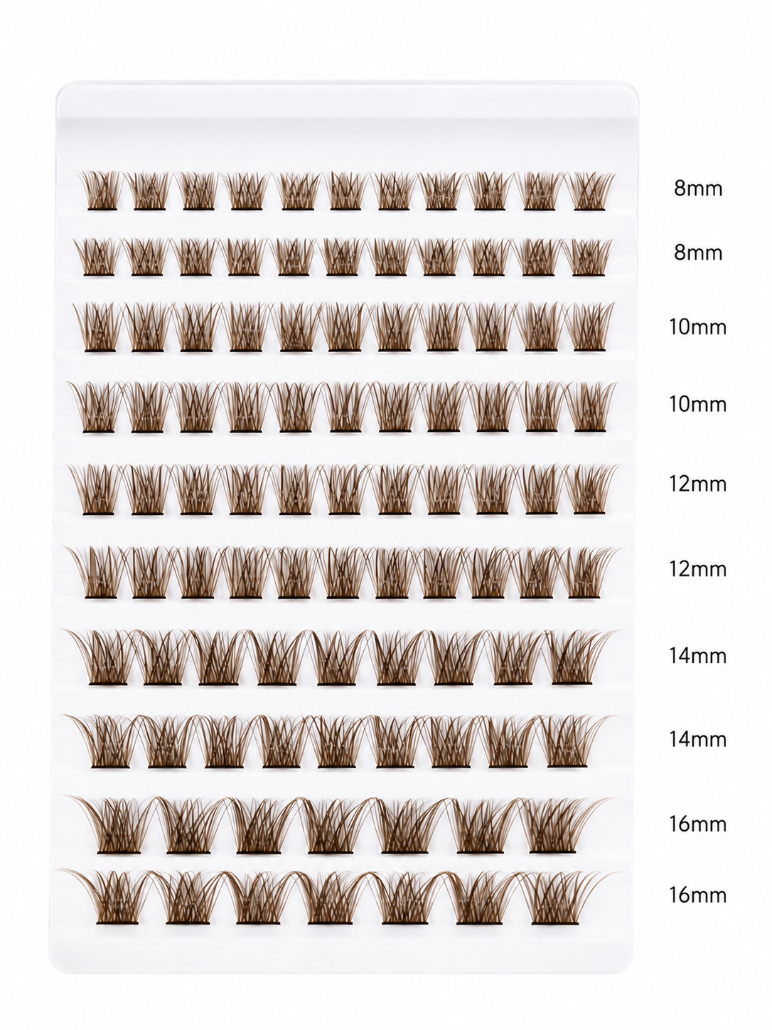Lash Starter Kit Baby Brown